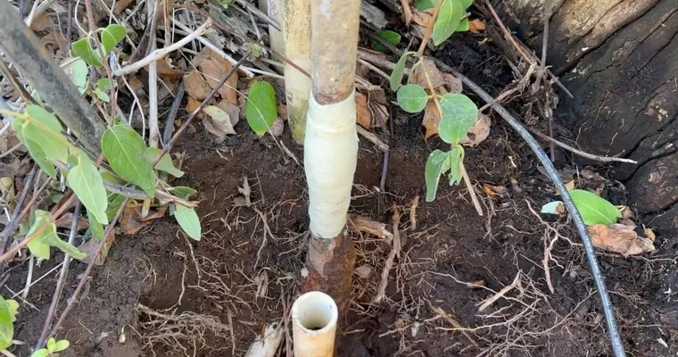 Plumbing technician working on visible pipe connections for Water Filtration and Reverse Osmosis in Tolleson, AZ