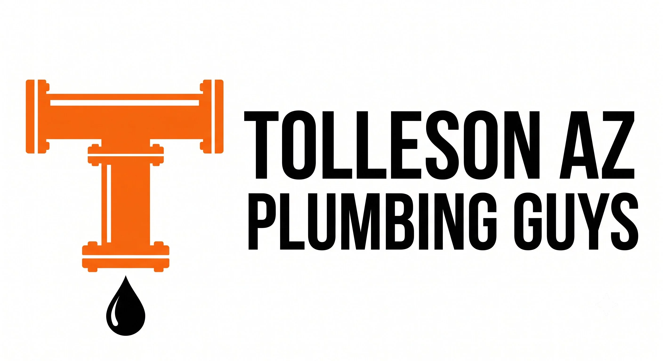 Tolleson AZ Plumbing Guys logo — homepage header